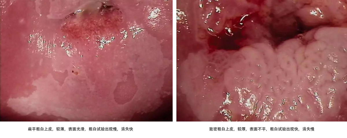 未標題-1.jpg